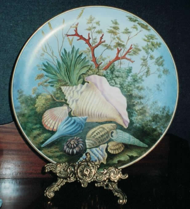 Shell decoration to  Earthenware Plate